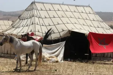 Following minor’s rape, civil network calls for end to festival overnight tents
