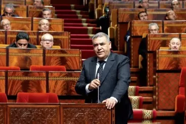 Morocco allocates 240 million dirhams for stray animal welfare and clinic development