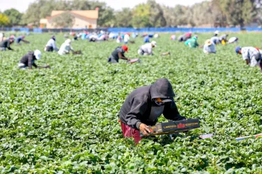 إيطاليا تستقدم 500,000 عامل أجنبي بحلول عام 2028 لتلبية نقص اليد العاملة
