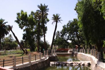 Nomad #101: El oasis de Sidi Yahya, santo patrón de la ciudad de Oujda