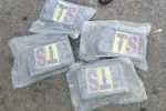 Bab Sebta : Une femme arrêtée pour trafic international de cocaïne