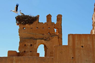 Nomad #105: La Kasbah de Msoun frente al desgaste del tiempo