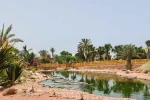 Somalie : Condamnés à mort puis acquittés, 6 Marocains attendent un rapatriement