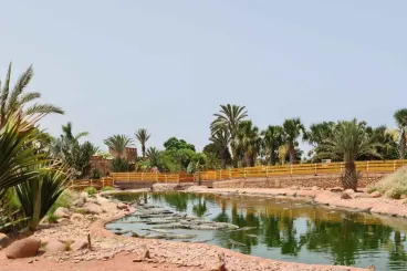 كروكوبارك أكادير يفتتح أول خط زيبلين فوق التماسيح في المغرب