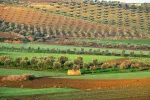 Maroc : Les premières cartes haute résolution des nutriments du sol des terres agricoles sont nées
