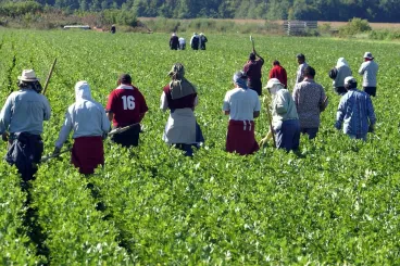 Marruecos: 100 millones de euros del BAD para una agricultura solidaria inclusiva para mujeres y jóvenes