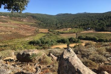 Nomad #44: El parque imposible del Jbel Bouhachem