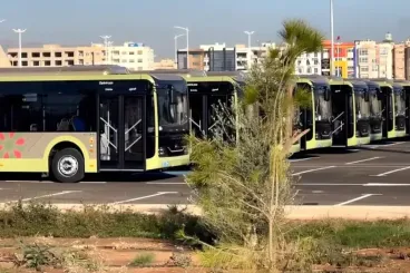 Fez welcomes 48 new buses in major transport upgrade initiative
