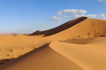 فرنسا: محاكمة زوجين بتهمة التخطيط لـ"التضحية" بابنهما في صحراء المغرب