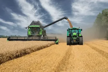Morocco's cereal production forecast to reach 90 million quintals in 2025-2026