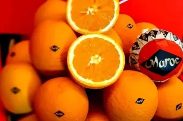 Moroccan orange exports to Germany surge fourfold