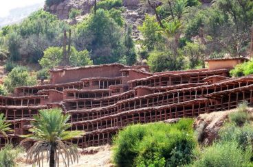 Nomad #89: Rucher d'Inzerki, el más grande de los colmenares colectivos más antiguos del mundo