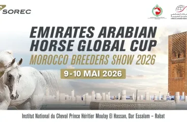 Rabat accueillera le Morocco Breeders Show 2026 les 9 et 10 mai