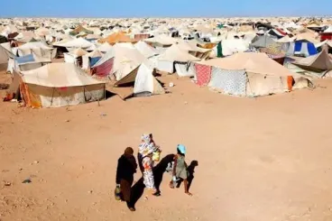 قبل المسيرة الخضراء..  الجزائر  أقامت 