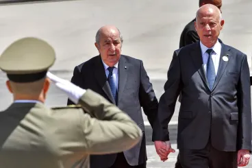 بعد القذافي وبشار.. هل سيحمي مقاتلو البوليساريو قيس سعيد؟