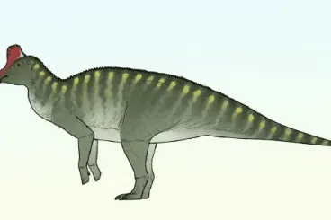 Taleta taleta: Un descubrimiento que enriquece la lista de dinosaurios con pico de pato en Marruecos