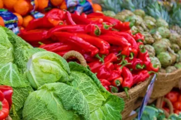 El PPE pide revisar el acuerdo comercial con Marruecos para excluir los productos del Sáhara