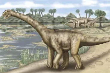 Marruecos: Descubrimiento de las huellas de dinosaurios «Turiasaur» más antiguas de África