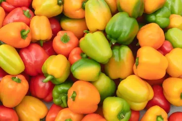 Marruecos duplica sus exportaciones de pimientos a Noruega
