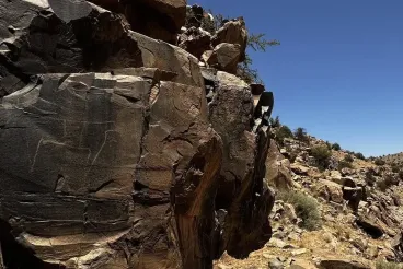 «Valle de las vacas»: Marruecos documenta grabados bovinos inéditos en Tiznit