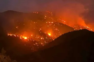 Un incendio forestal arrasa la provincia marroquí de Taroudant