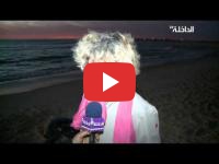 Dakhla : Une tortue marine retrouvée échouée sur une plage