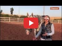 Diaspo #106 : Houda Kabdani a suivi son amour pour les chevaux jusqu’en Arabie saoudite