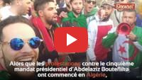 Tunisie : Les soutiens de Kaïs Saïed reprennent une chanson des ultras du Raja