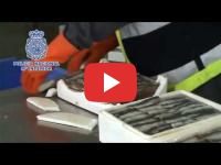 Espagne : Du haschisch marocain dans une cargaison de sardines