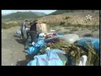 Tétouan : 5 tonnes de haschisch et de cigarettes détruites 
