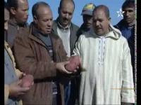 Pommes de terre : Une bonne saison pour les agriculteurs marocains